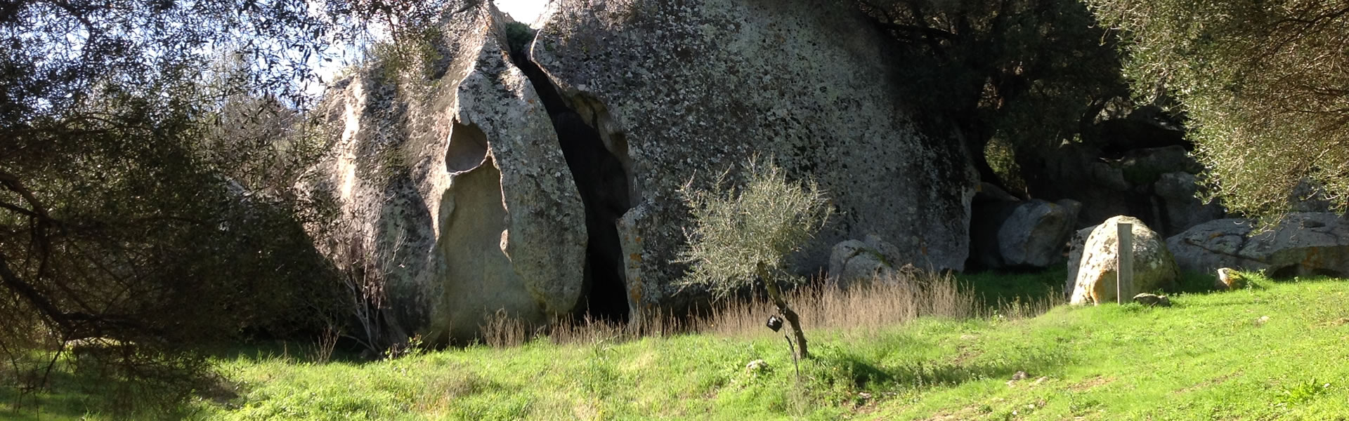 tafoni in granito nella campagna gallurese
